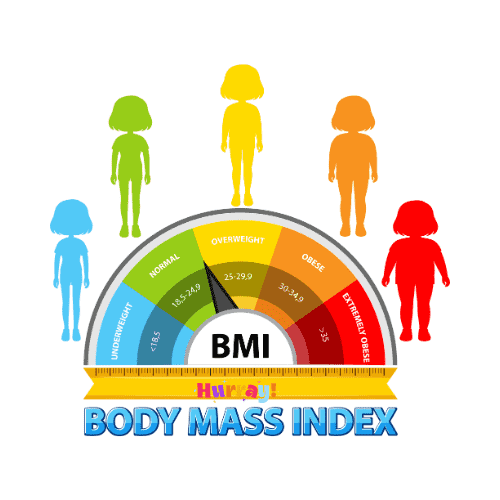 body mass index